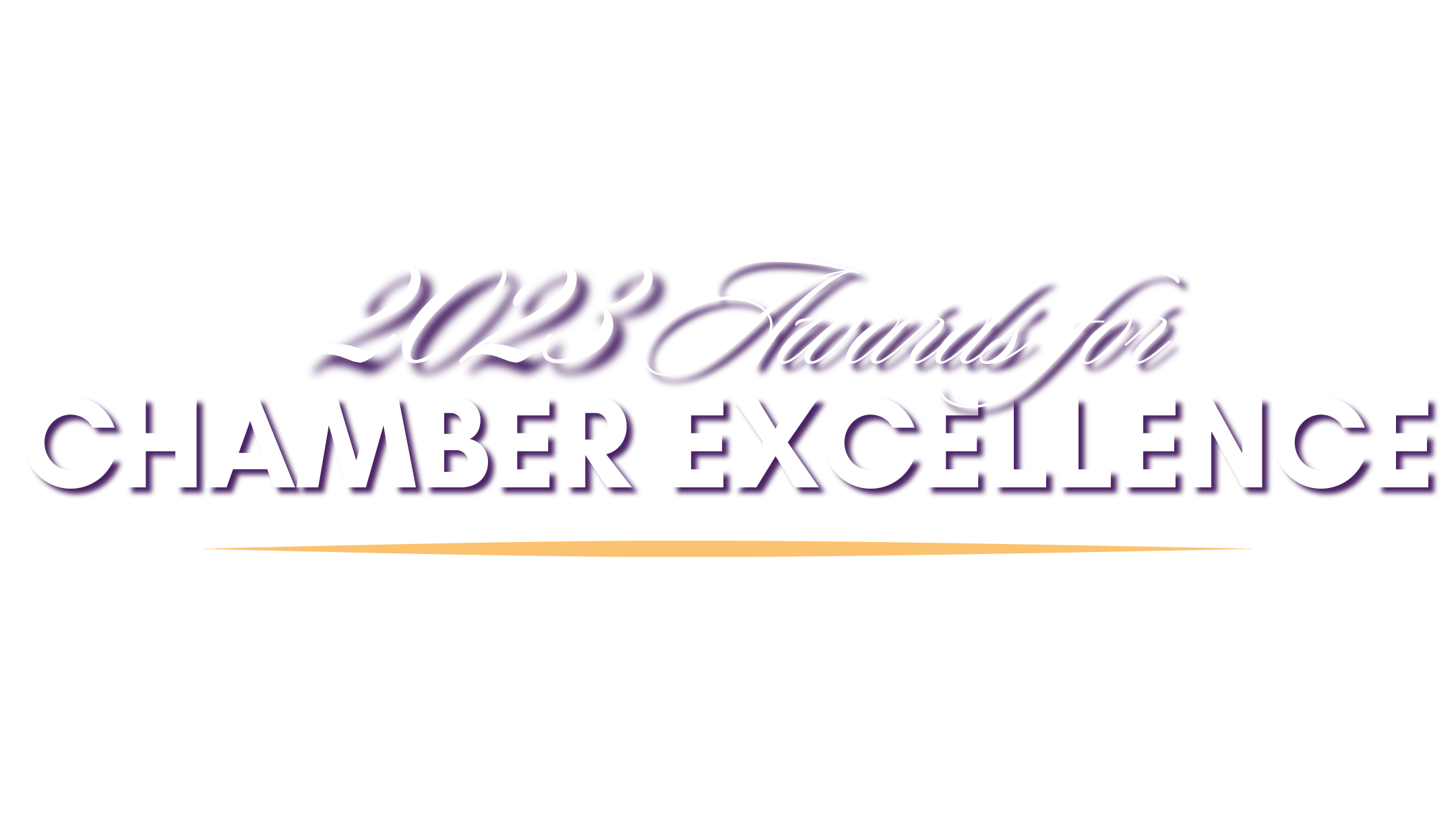 2023 Awards for Chamber Excellence Greater Reston Chamber of Commerce